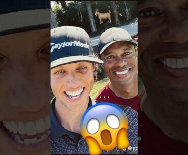 Tiger and grant 12 pm today #golf #fyp #greatest #goat