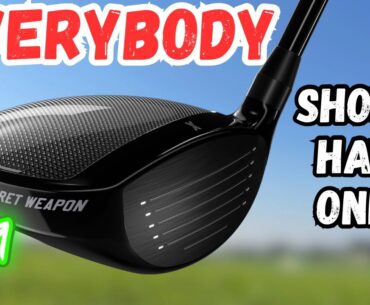 This Club SHOULD be in Everybody's GOLF Bag in 2025!!