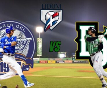 EN VIVO: LIDOM 2024 - Tigres del Licey vs Estrellas Orientales - Previa