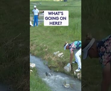Would you RISK this? 👀