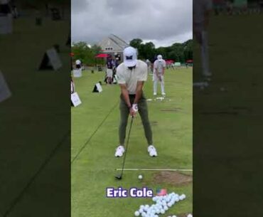 Two Different Physiques - Two Different Swings: Harry Hall & Eric Cole