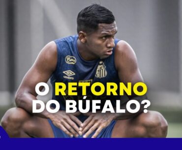 SANTOS PODE TER RETORNO DE MORELOS | MAIS UM PROBLEMA? - LIVE