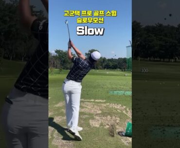 공 많이 치고 한국 갑니다! 고군택 프로 아이언 스윙 슬로우 모션