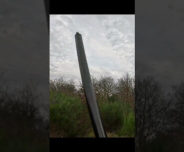 #edit #chasse #shortvideo la belle des bois de sorti