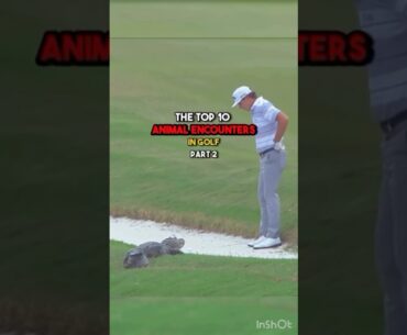 TOP 10 ANIMAL ENCOUNTERS IN GOLF / PART 2🔥 #golf #improveyourgolf #golfshot