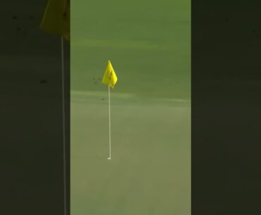 Lucas Glover Hole In One 😳
