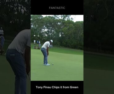 Tony Finau chips it from the green