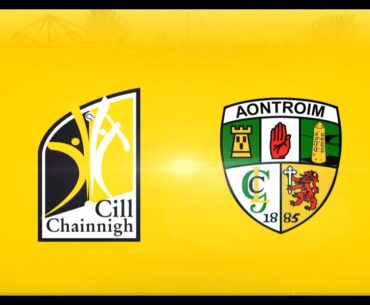 Kilkenny triumph over Antrim despite injuries | Kilkenny 5-30 Antrim 0-13 | Leinster SHC highlights