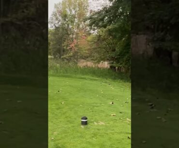 Amazing tee shot at Whitmore Lake Golf Links