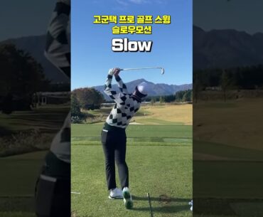 반듯한 스윙! 고군택 프로 아이언 스윙 슬로우 모션