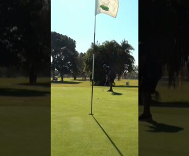 Birdie on this long putt. #shortvideo #shorts #golf #short #golfswing