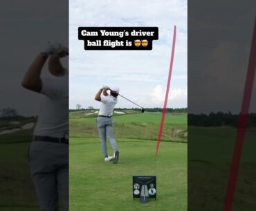 Cam Young's Ball Flight is INSANE...🚀🚀