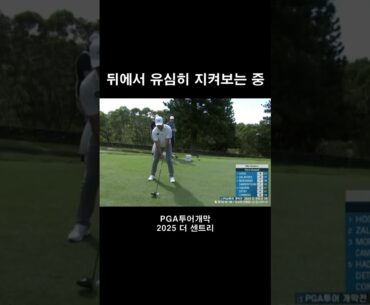 드라이버 정면 #김시우