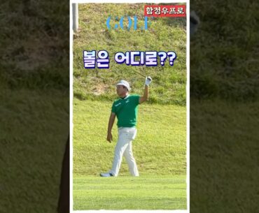 함정우프로 세컨 아이언샷