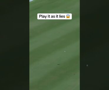 golf game not easy || Bill Haas saved par after hitting his ball out of a bush.. | golf game
