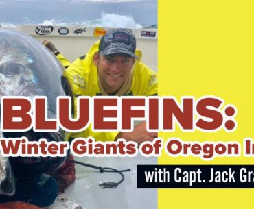 Bluefins: Winter Giants of Oregon Inlet with Capt. Jack Graham