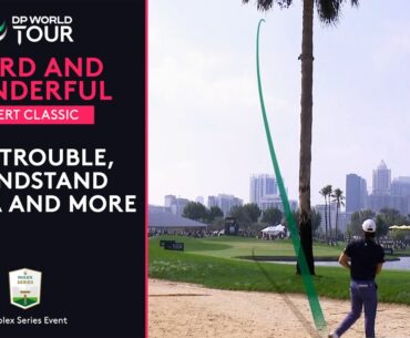 Weird and Wonderful Golf Moments | McIlroy, Rahm, Hatton | 2025 Hero Dubai Desert Classic