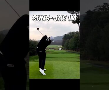 Sung Jae Im impersonation