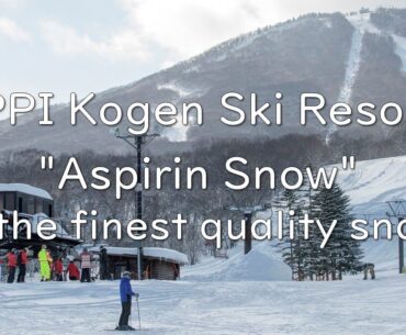 APPI Kogen Ski Resort (in Iwate): The best quality snow, known as "Aspirin Snow"