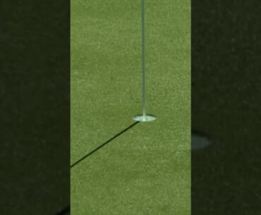 Eagle lands for Greyserman 🦅⛳