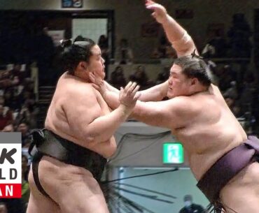 GRAND SUMO: Day 8 of the January 2025 Tournament - GRAND SUMO Highlights
