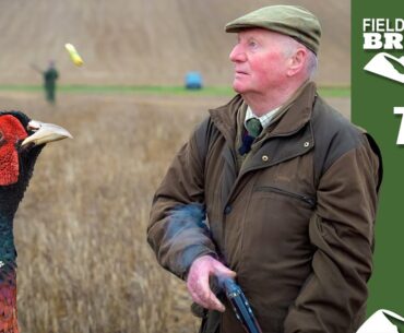 Fieldsports Britain – Golf course pheasants