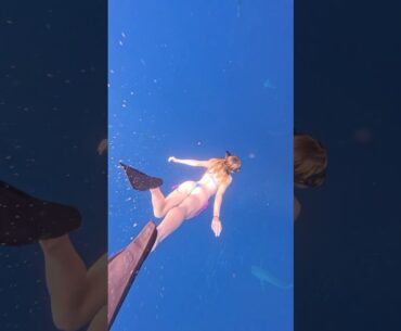 Shark diving 🦈￼