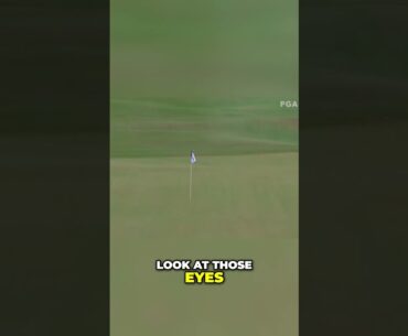 Luke List's Thrilling Eagle Shot  PGA Tour Highlights