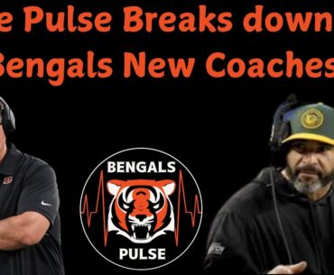 Have the Bengals found their "Golden Ticket"? Bengals Pulse Live!