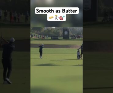 Buttery swing, perfect shot. Viktor Hovland🏌️‍♂️🔥 #golf #pgatour #brysondechambeau #tigerwoods