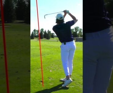Near Ace and a Chip in! #golfshorts #shorts #explore