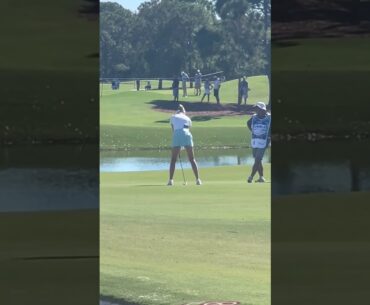 #golfswing #fyp #followthrough #waitforit