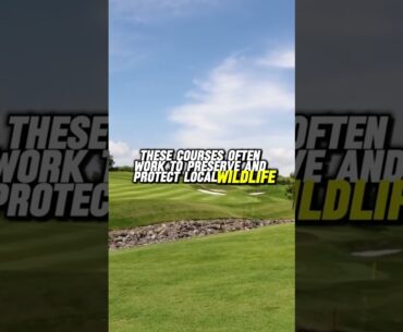 Can have a Golf Courses Their Own Ecosystem?