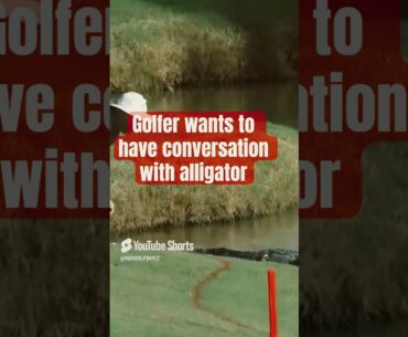 Golfer meets Alligator #golf #golfdownswing #golfcourse #golfgreen