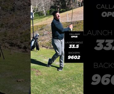 Callaway Opus SPIN OFF against Indi FLX Blast Face 4 #golf #golfequipment #indigolf #callaway #spin