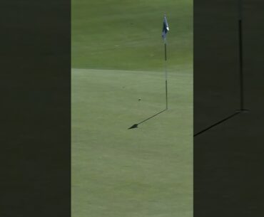 Great wedge play ⛳️