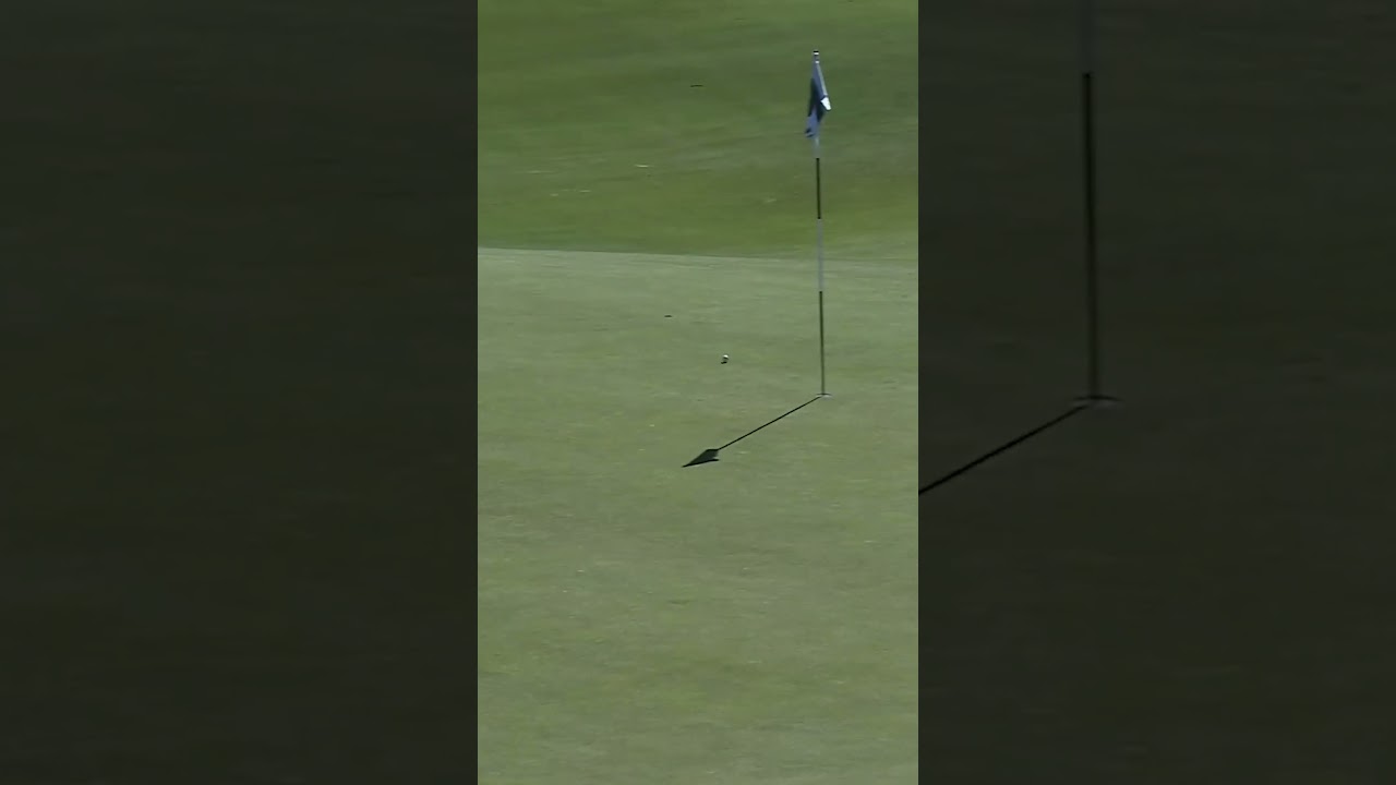 Great wedge play ⛳️ Great wedge play ⛳️