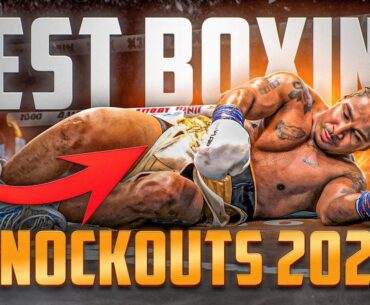 BEST BOXING KNOCKOUTS OF 2025 | FIGHT HIGHLIGHTS KO HD