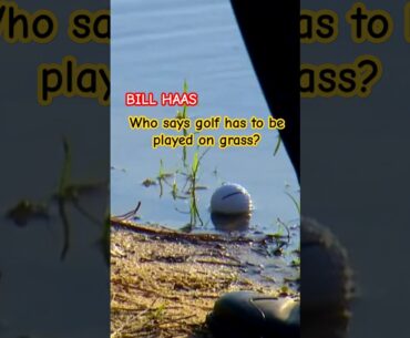BILL HAAS PGA TOUR BEST MOMENT @PGATOUR #pga #pgatour #ゴルフ