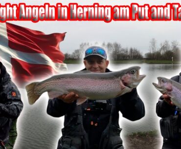 Ultra Light Angeln in Herning am Put and Take See in Dänemark