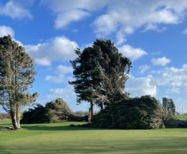 NI golf clubs remain in ‘mammoth clean-up’ after Storm Eowyn’s impact on courses