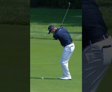 정확한 볼 터치 I 백스핀 홀아웃 I Ryan Palmer