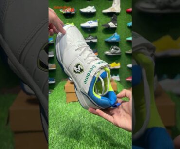 SG SIERRA 2.0  CRICKET SPIKE SHOES  #jalandharstyle