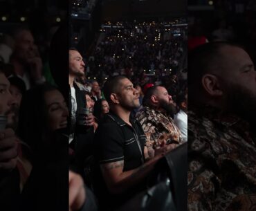 Alex Pereira reacting to Prochazka vs Hill 👀 #UFC311