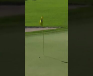 So Close! Hideki Matsuyama’s Long-Range Accuracy Shines | PGA TOUR 2024 Highlights #pgatour #shots