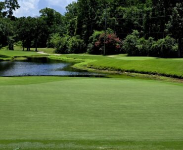Willow Creek Golf Club was established in 1981 by 10 founding members. In February 2024, the member-owned club reached an agreement to partner with Sterling Golf Management, Inc. to manage the club's day-to-day operations. (Courtesy Willow Creek Golf Club)