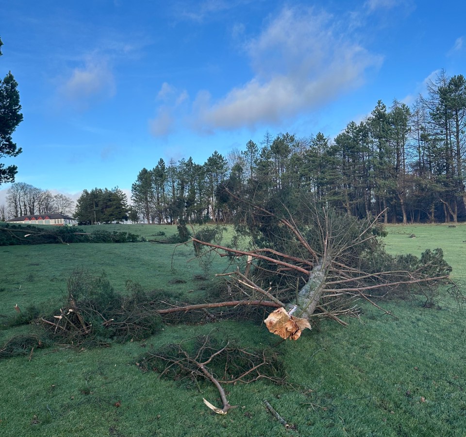 Storm damage to a golf course in Scotland.