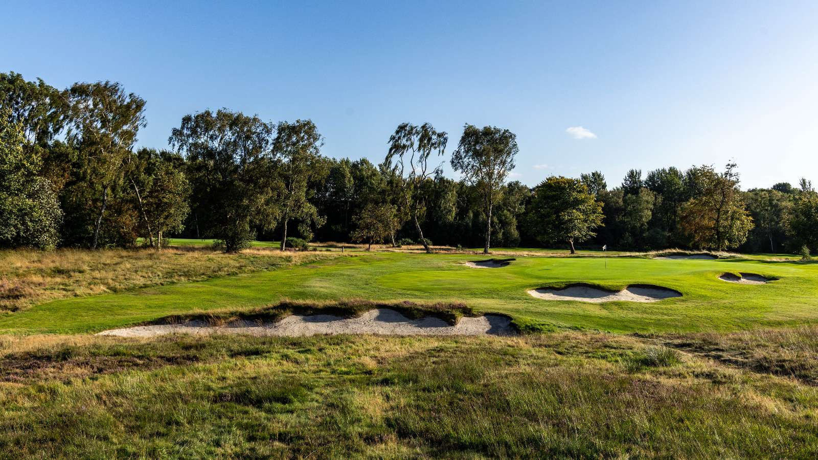 Moortown GC