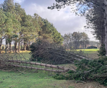 Storm Eowyn golf course