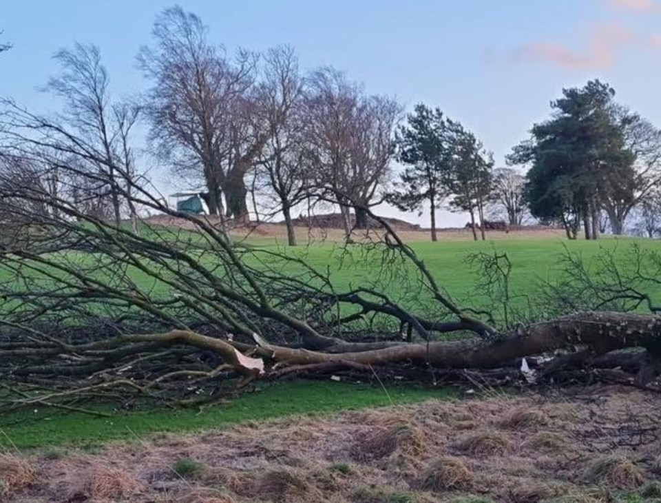 Storm damage on a Scottish golf course.
